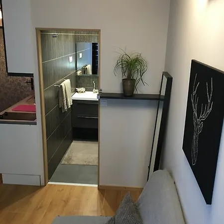 Studio Des Halles Proche Disney Apartmán Bussy-Saint-Georges
